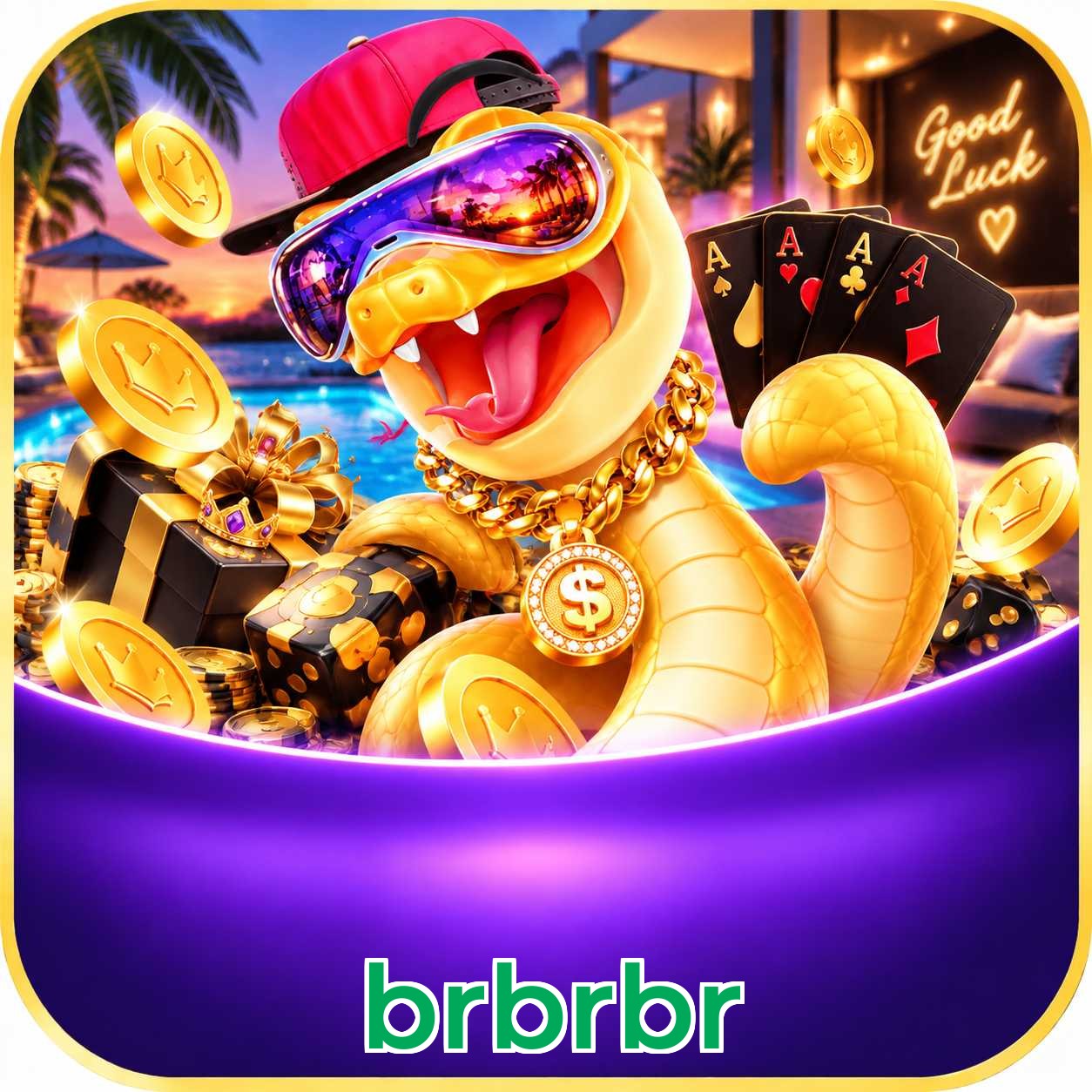 brbrbr VIP Program
